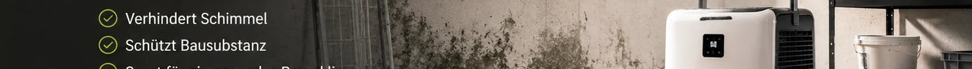 Feuchter Keller im  Sommer - Luftentfeuchter hilft