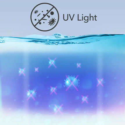 Verdunstungs-Luftbefeuchter B 300 für grosse Räume mit UV-Desinfektion