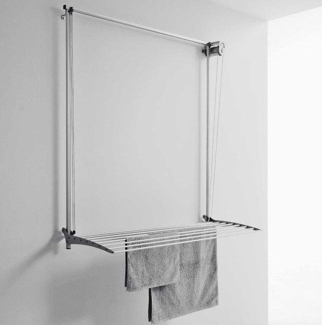 Foxydry Wall100 Standard Klapptrockner mit 1 Wandrack - Dantherm Group AG