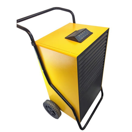 Fral F96 Luftentfeuchter mit Pumpe R410A - Dantherm Group AG